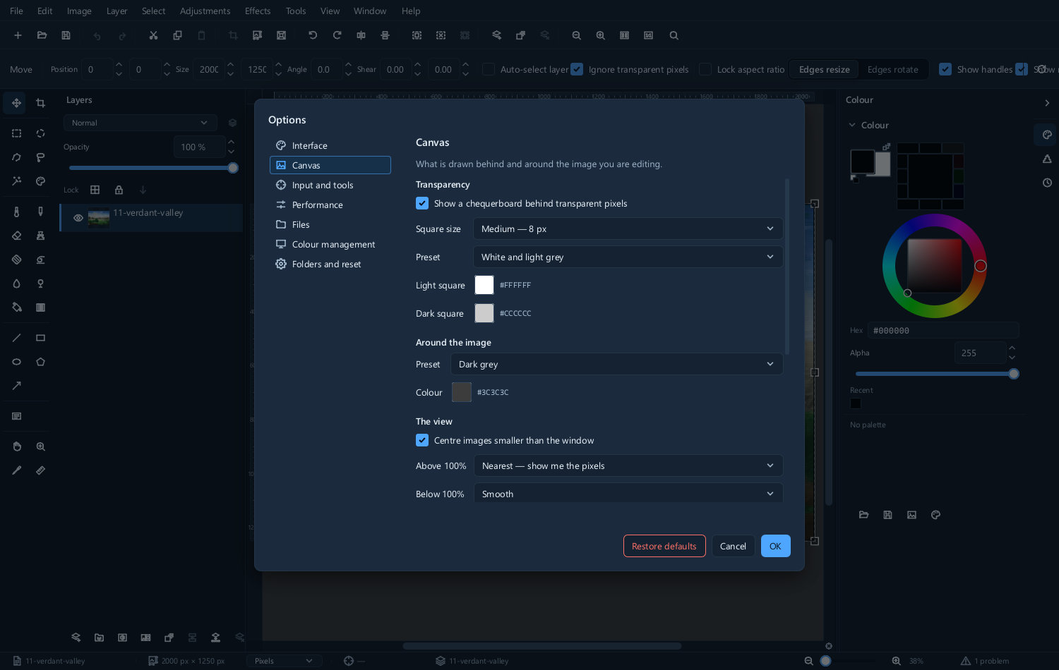 The canvas preferences