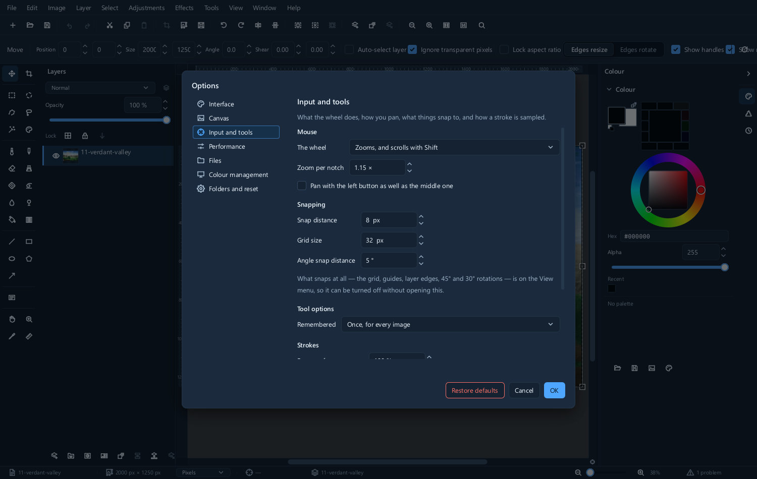 The input preferences