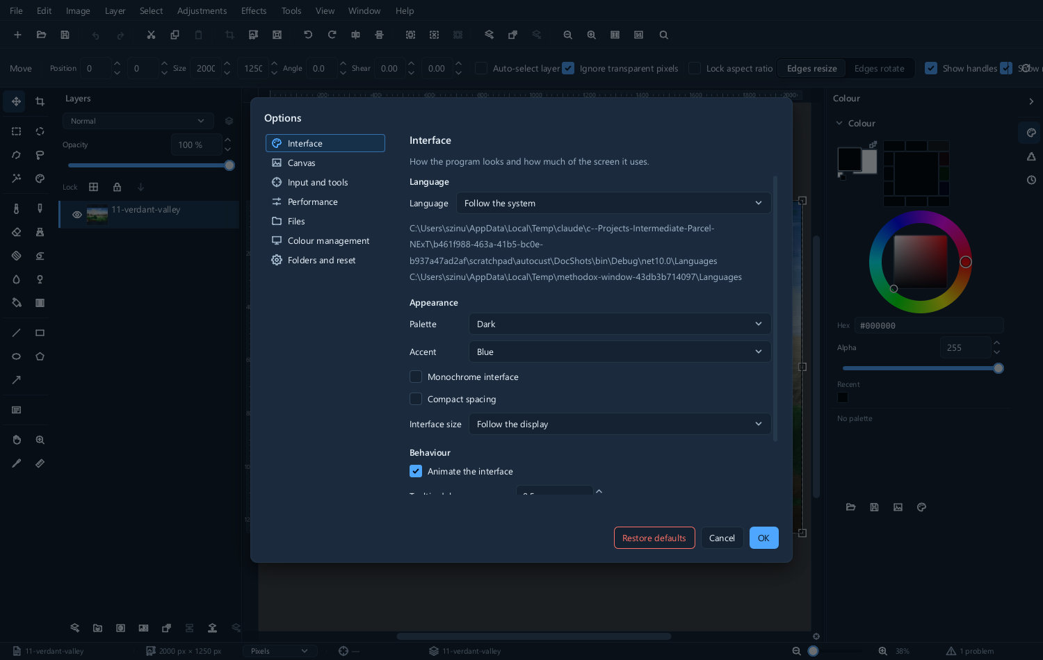 The interface preferences