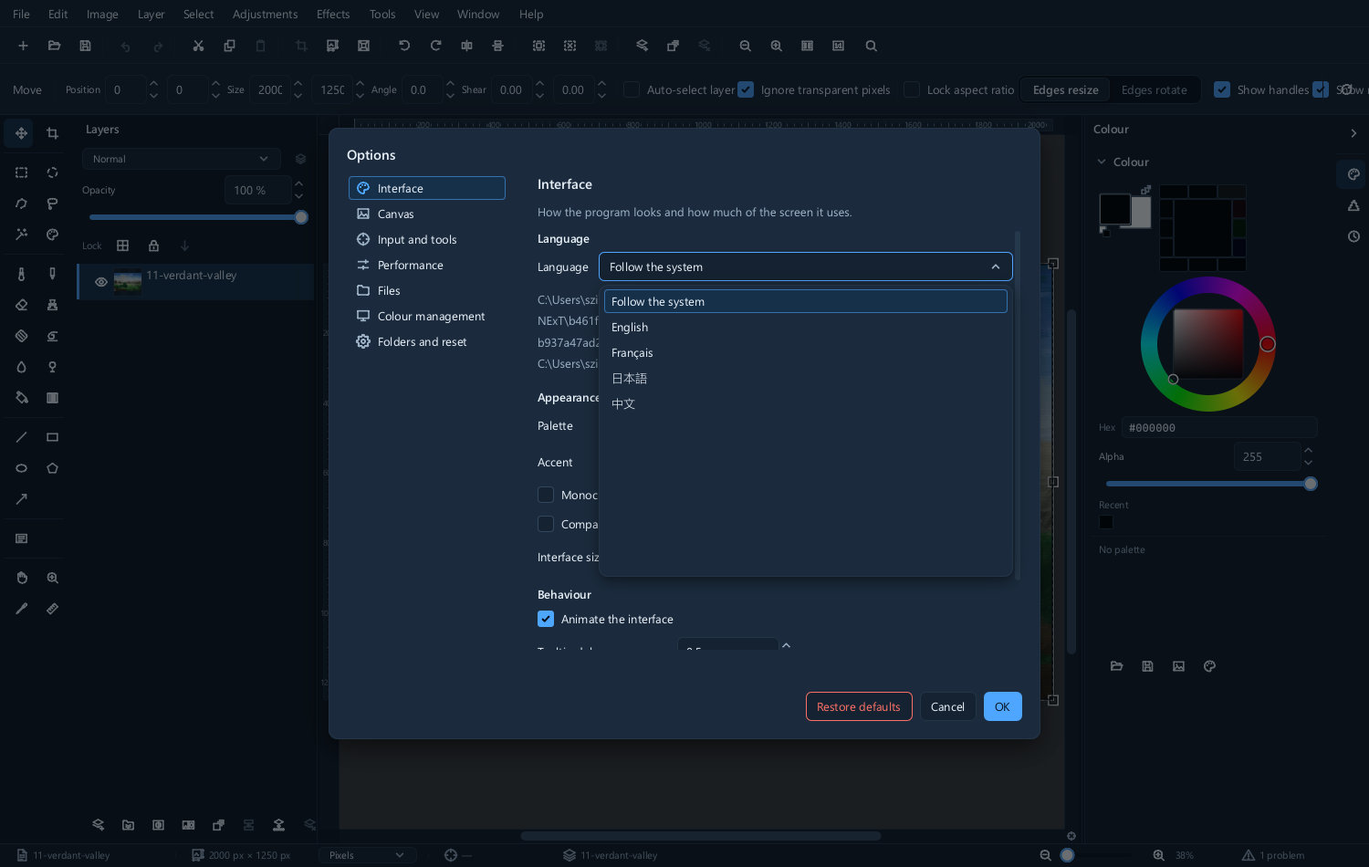 The language setting in preferences