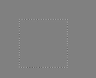 The same selection seen at eight times zoom, its outline still one pixel wide on screen